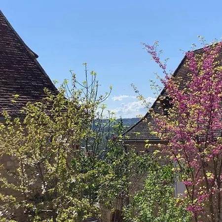 Apartamento La Chartreuse Carmille Domme